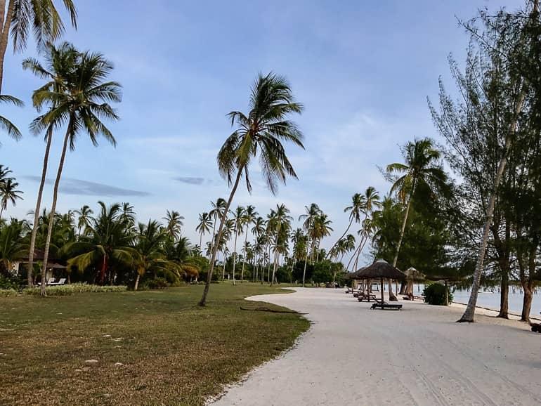 Zanzíbar: cinco puntos destacados en la isla de ensueño de Tanzania
