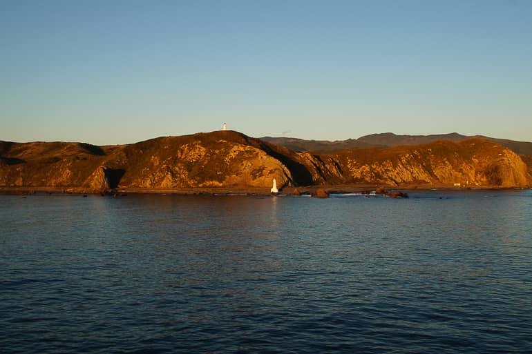 New Zealand's North Island: Nature Wonders and Hobbits
