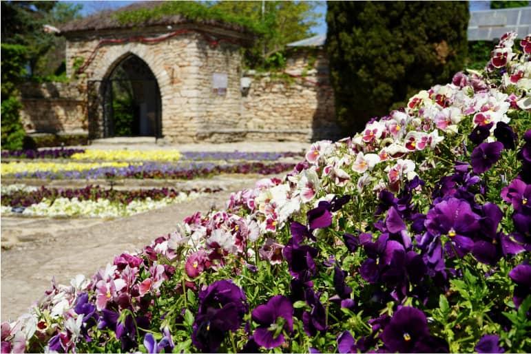 Un jardín de flores en el parque del Castillo de Balchik en Bulgaria en primer plano, al fondo una puerta y más flores.