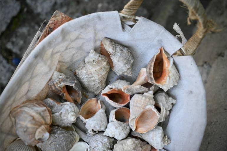 Una cesta llena de conchas en la playa de Sozopol, Bulgaria.