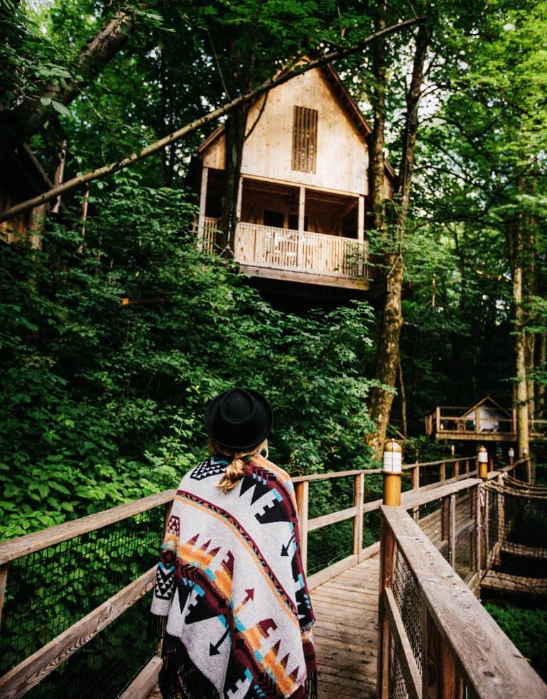 Treehouse Slovenia