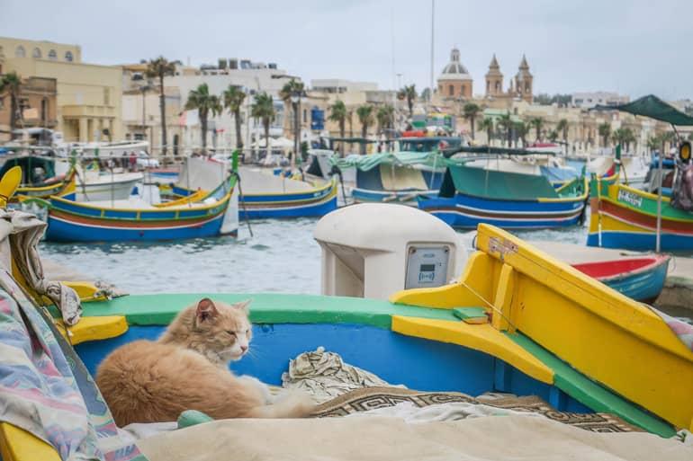 Cat lying in a fishing boat in the harbor of Marsaxlokk