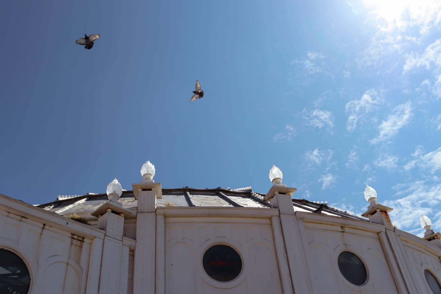 Las gaviotas vuelan en el cielo azul sobre el Brighton Palace Pier en el sur de Inglaterra.