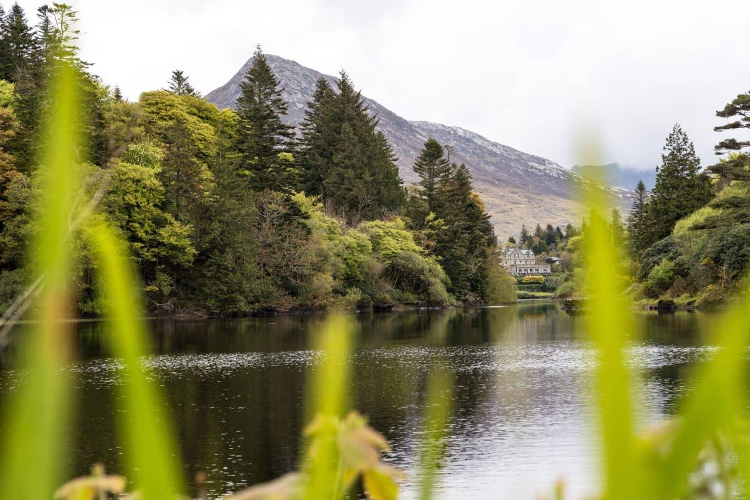 Un lago con hierbas delante, al fondo un pequeño castillo y una montaña