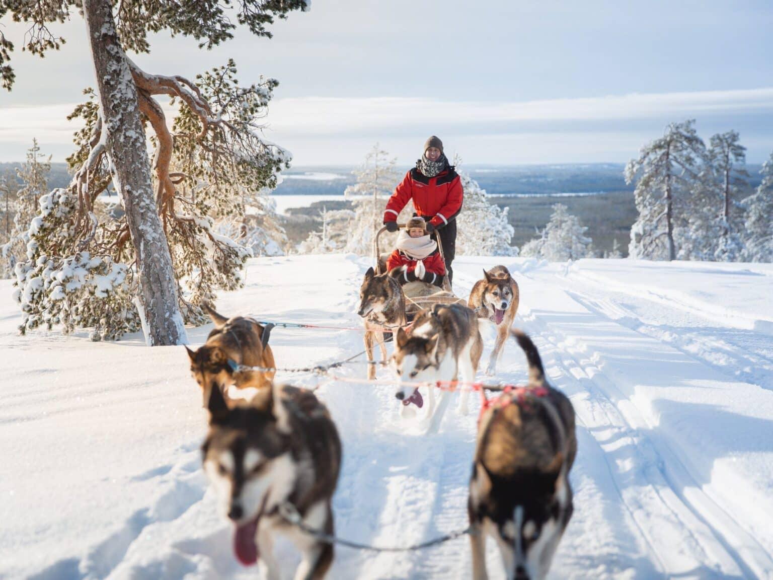 A sled with two people is pulled by huskies through the snowy landscape in Finland.
