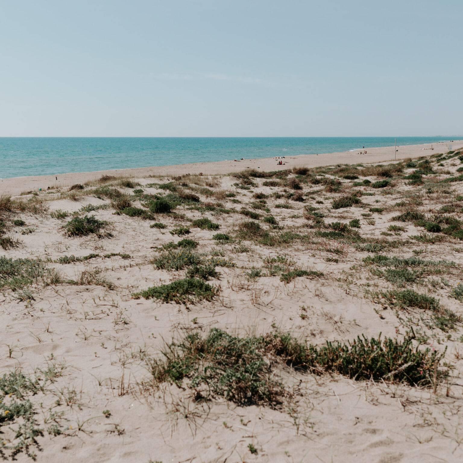 Playa virgen en Cancello 7, al sur de Lido di Ostia.