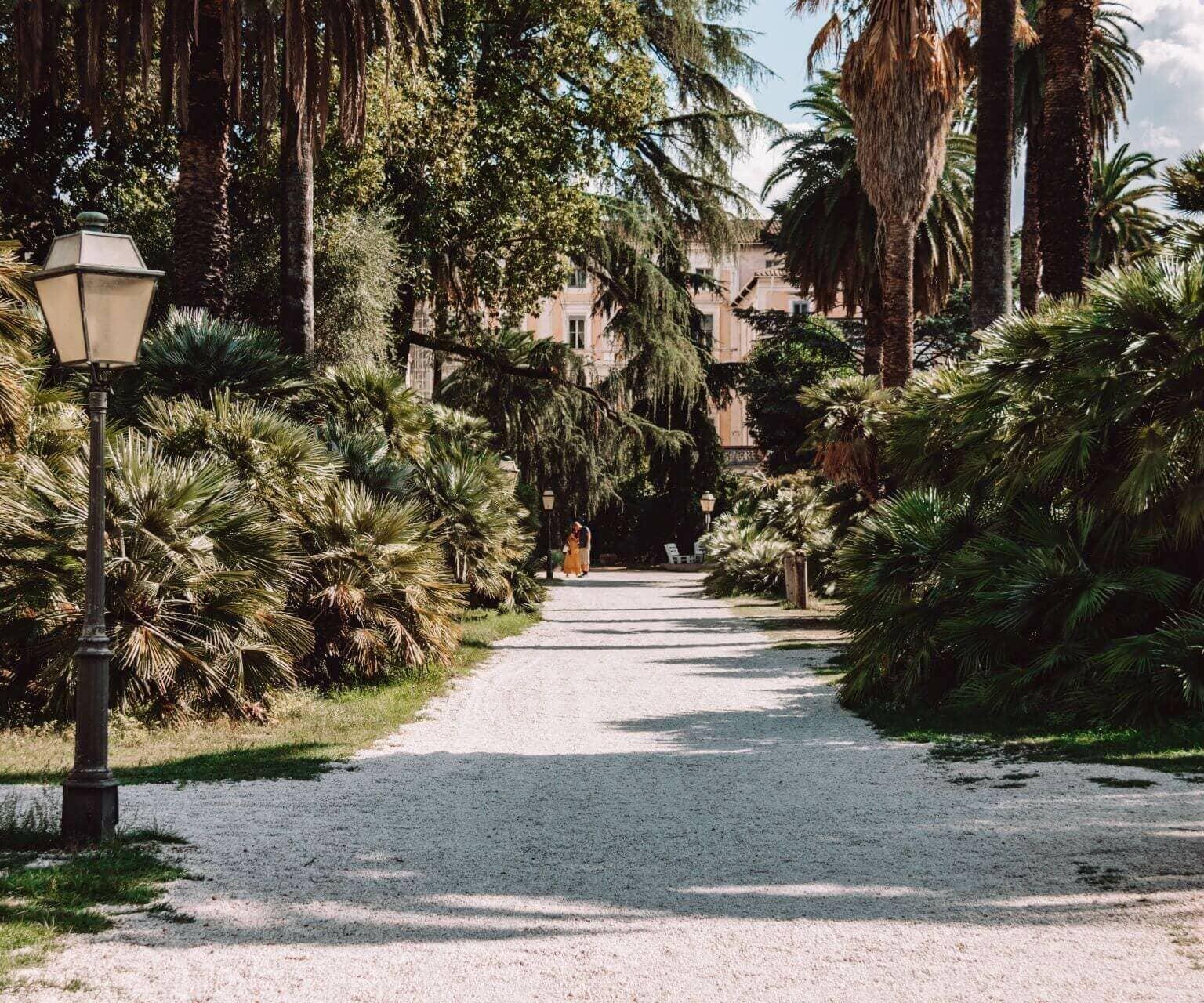 Un camino de piedras conduce a través de diferentes plantas verdes en el Jardín Botánico de Roma.