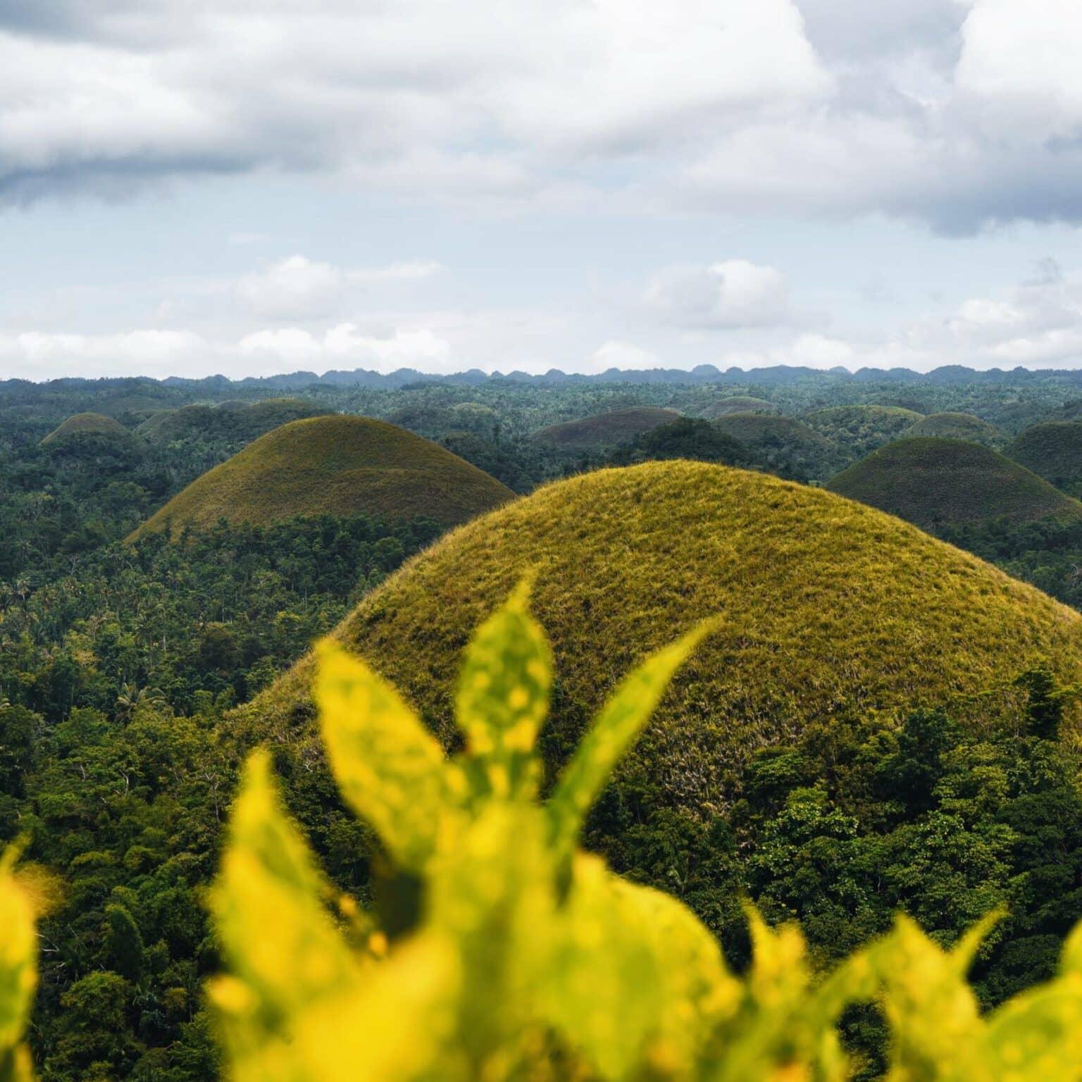 Las Chocolate Hills son colinas cubiertas de vegetación en Bohol, Filipinas.