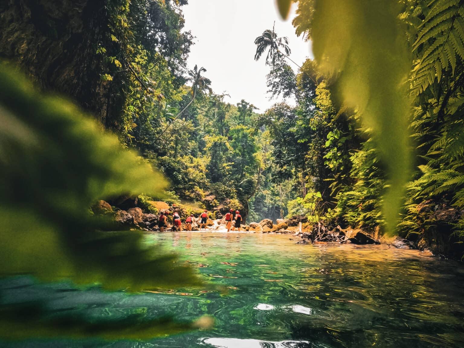 Personas caminan por el agua rodeadas de hermosa naturaleza verde.