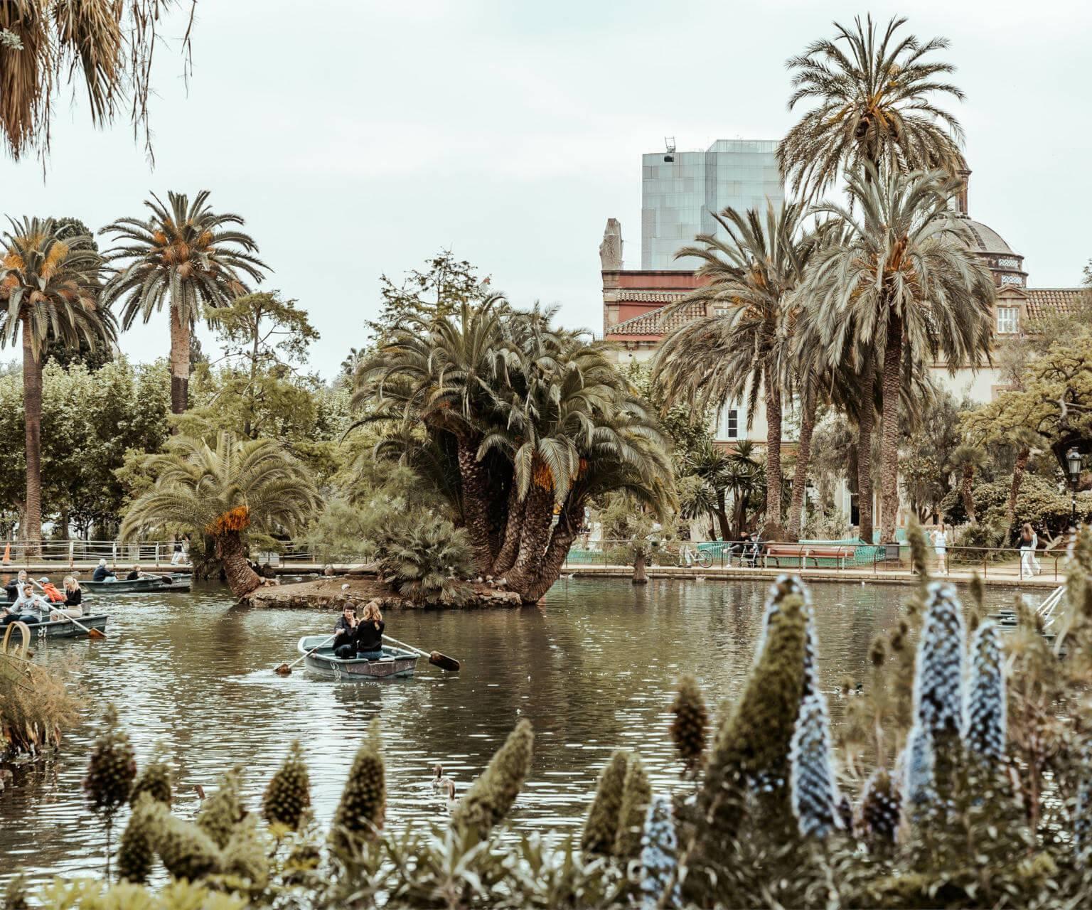 For a relaxing break in Barcelona, you can row in one of the boats among the palm trees in Parc de la Ciutadella.