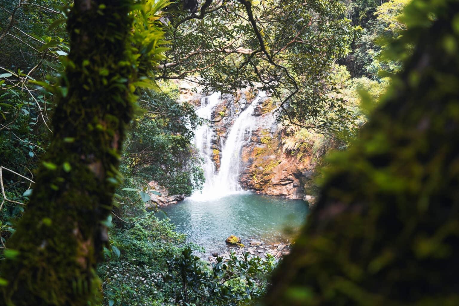Amidst countless green plants, one finds the Shuangliu Waterfall in Taiwan.