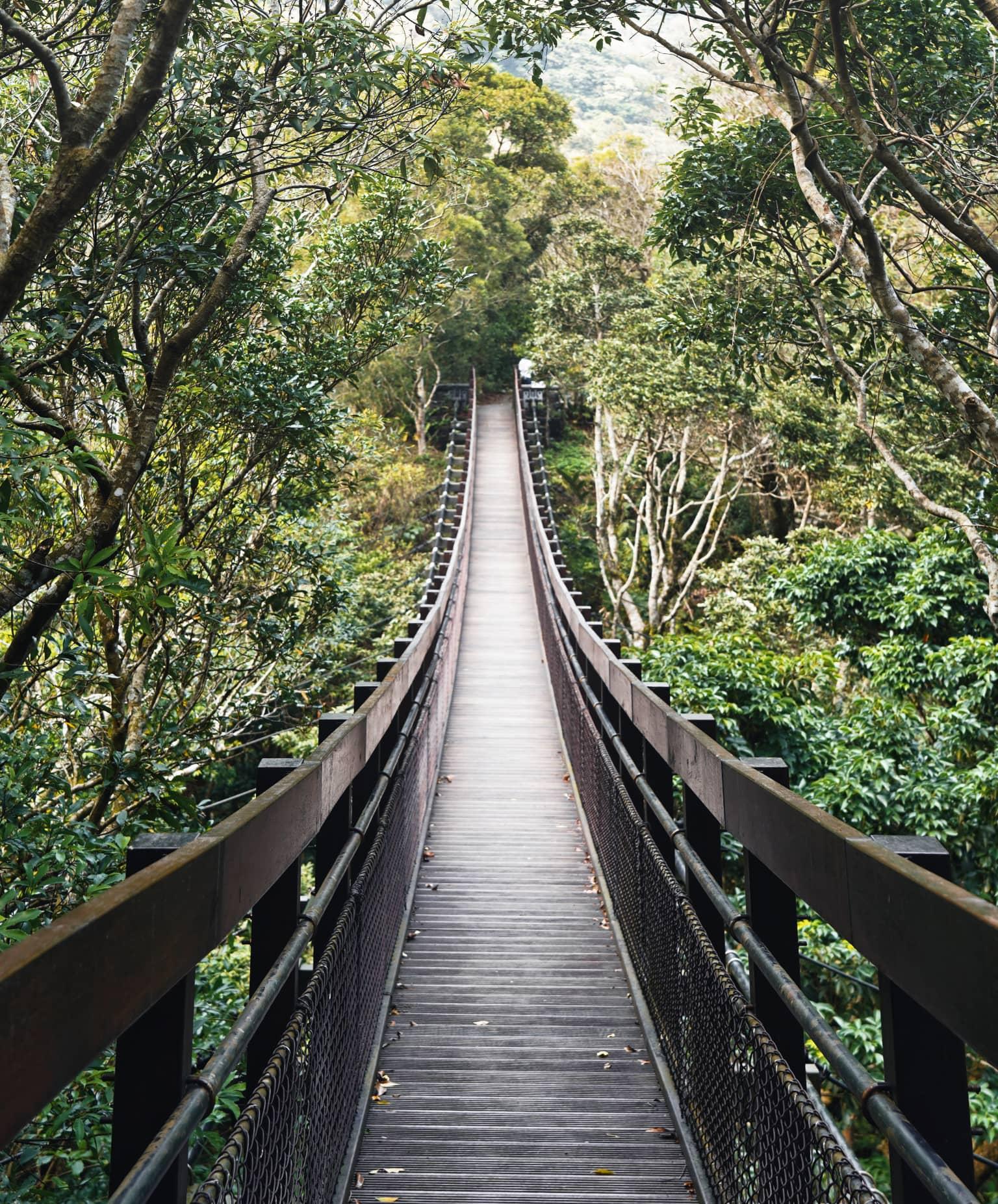 A wooden bridge leads through the forest of the Shuangliu National Park in Taiwan.