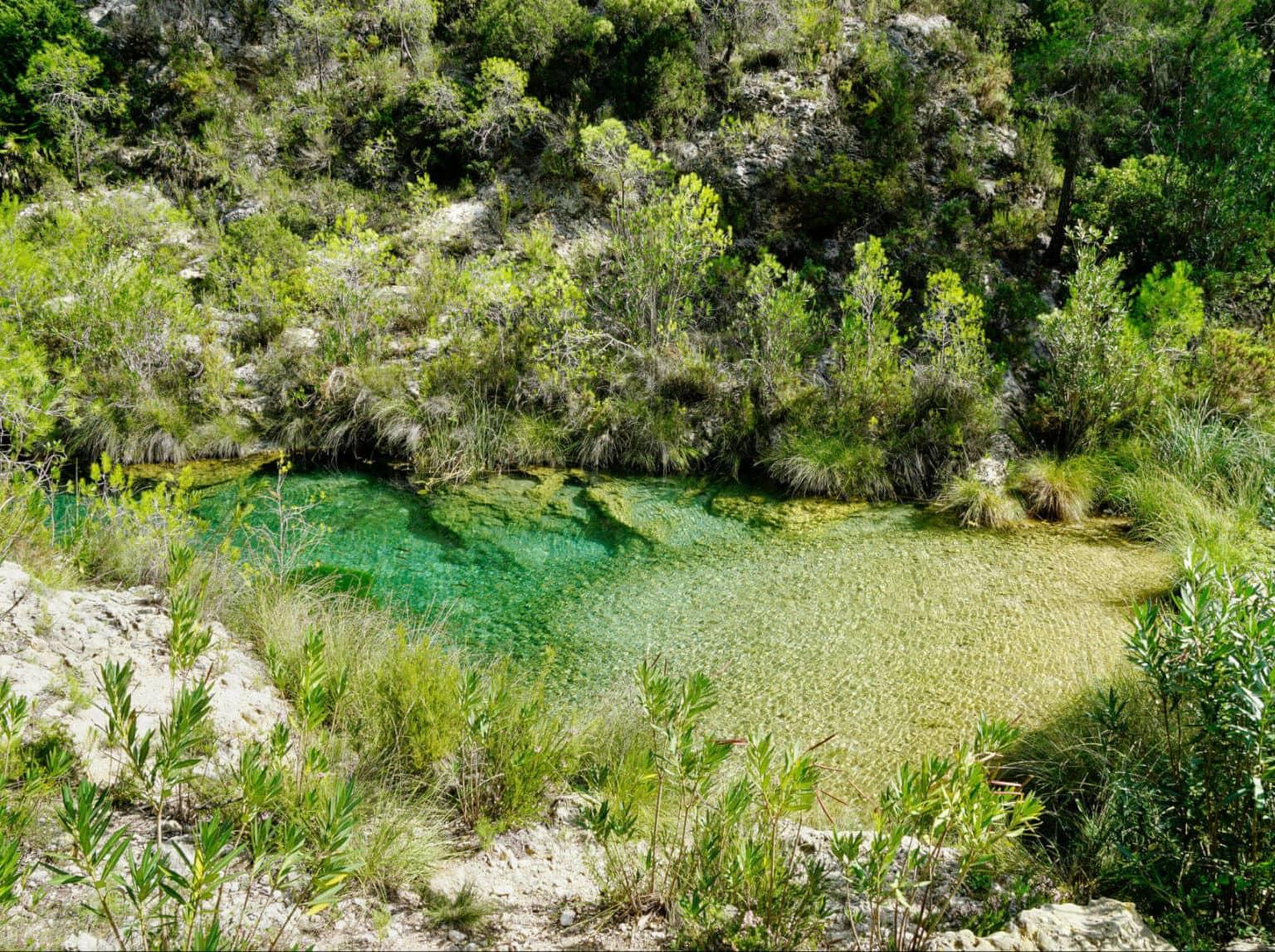 A green natural pool at the Río Cazuma near Valencia - a true hidden gem to cool off after hiking.