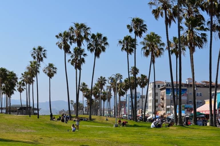 The Venice Beach Boardwalk along the Pacific is a beach promenade with many small shops, a green space, and palm trees lining the way.