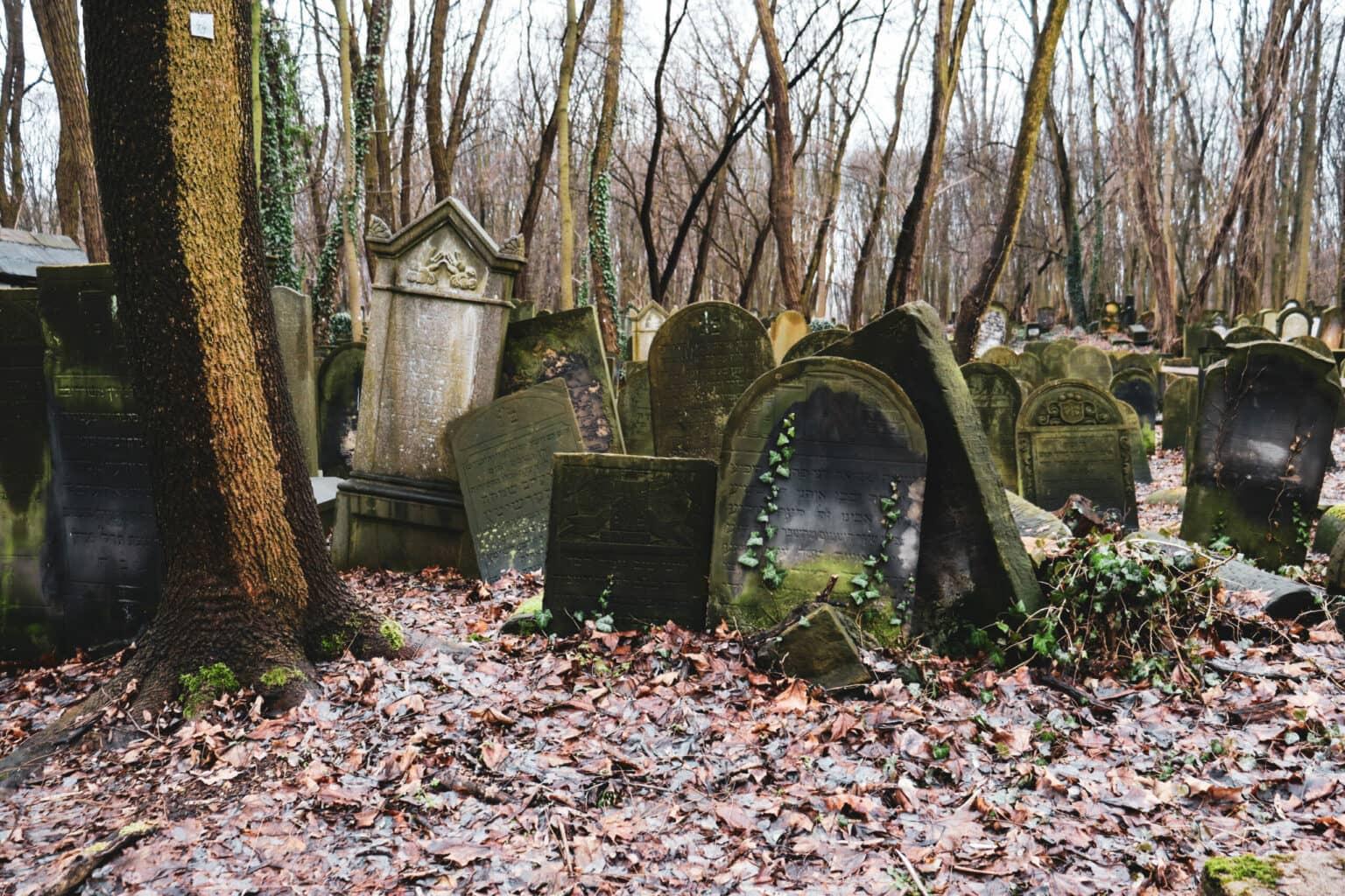 Countless gravestones populate the Jewish cemetery in Warsaw.