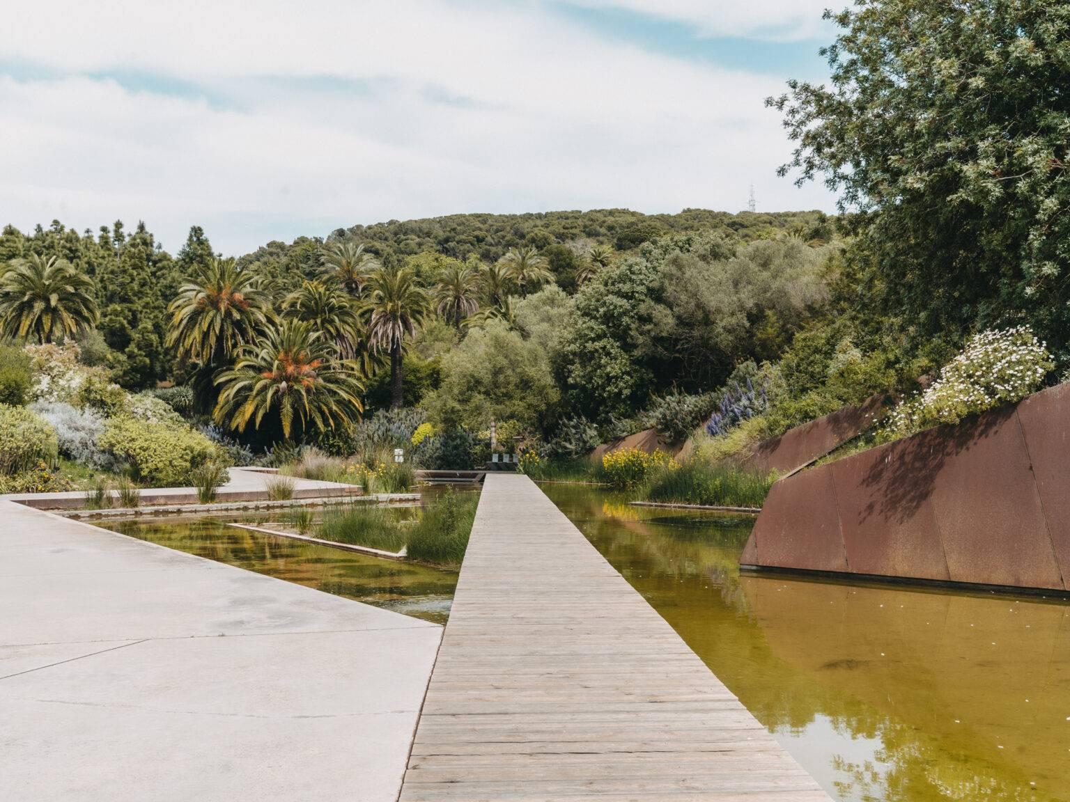 Un parque en Montjuic con arbustos verdes y palmeras y un estanque poco profundo en primer plano. Un puente de madera conduce sobre el estanque.