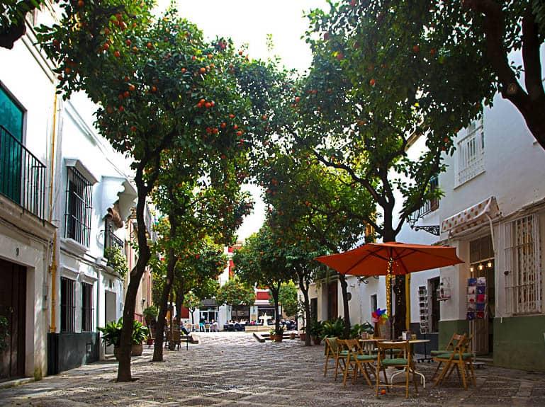 Lush orange trees adorn the narrow streets of the old town in Seville, and the small cafés invite you to linger.
