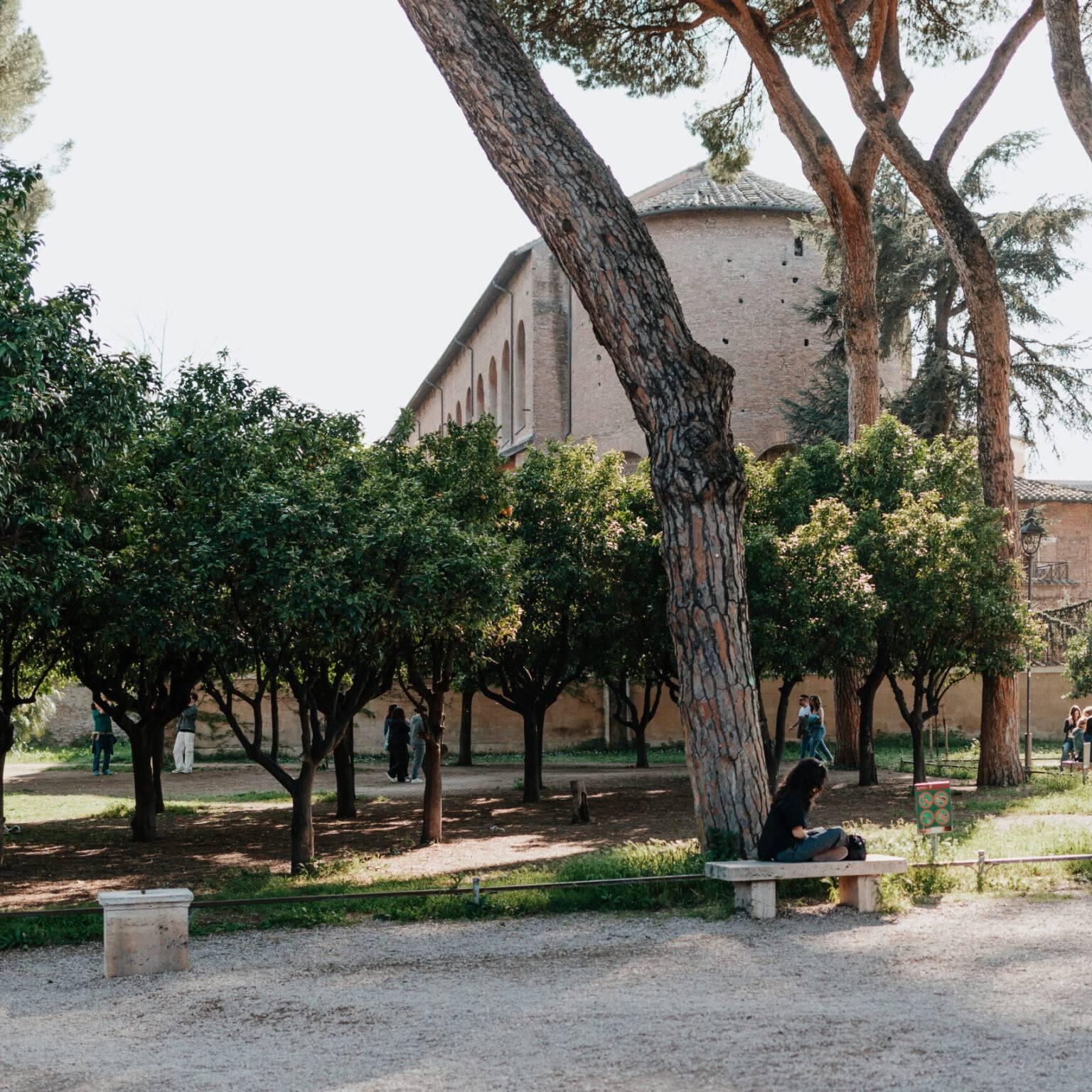 View through the orange grove of Giardino degli Aranci in the afternoon sun.