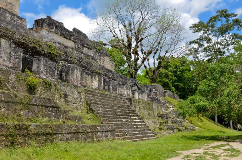 Templos de Tikal cubiertos de musgo
