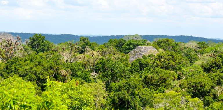 Templo de Tikal