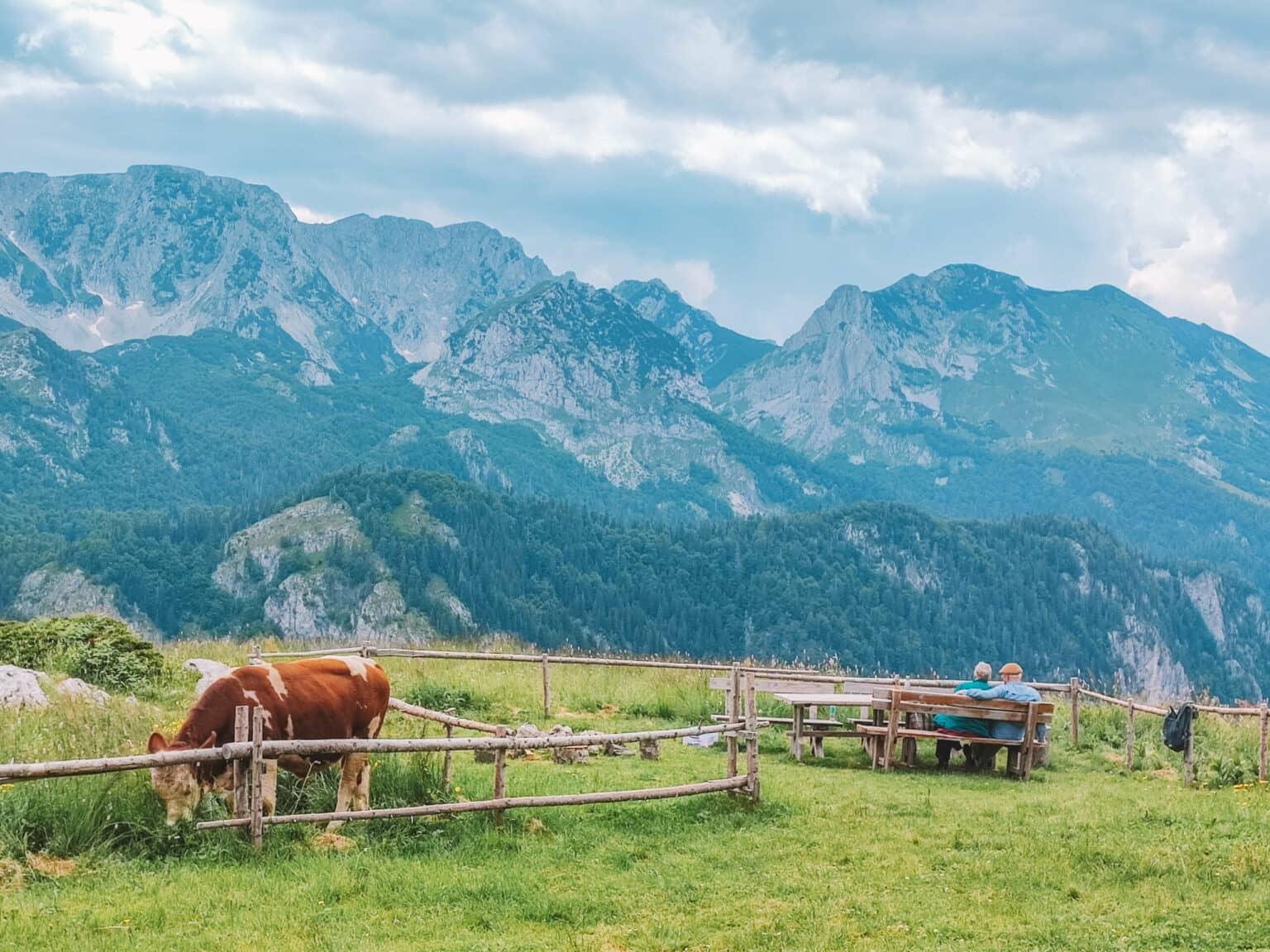 En un entorno natural intocado, una pareja disfruta de la vista de las montañas en el Parque Nacional Sutjeska en Bosnia.