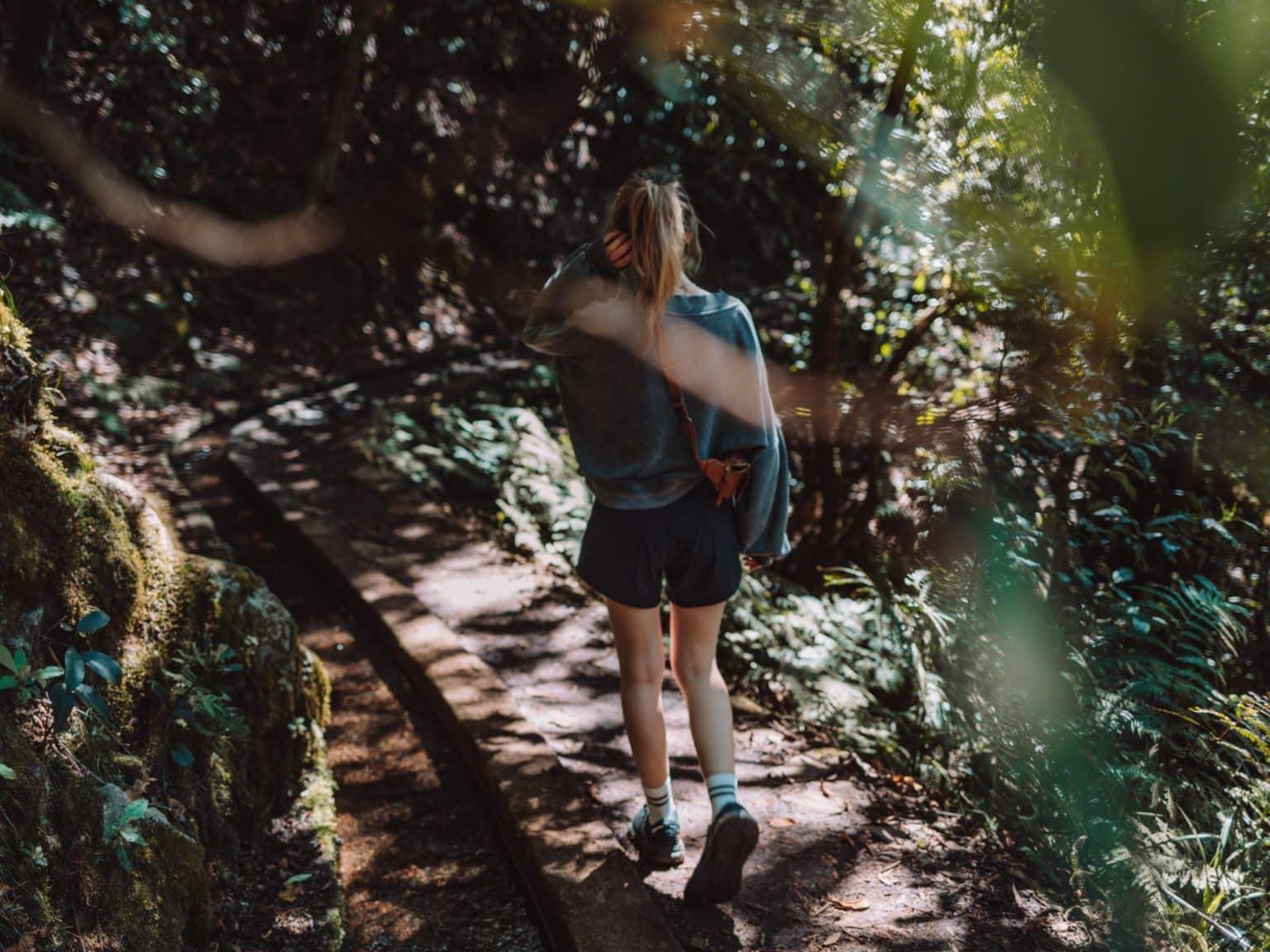Sarah hiking through a dense laurel forest along a small path.
