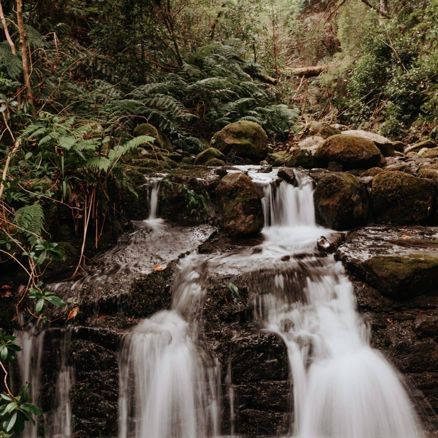 A small waterfall dramatically cascading down a slope in the forest.