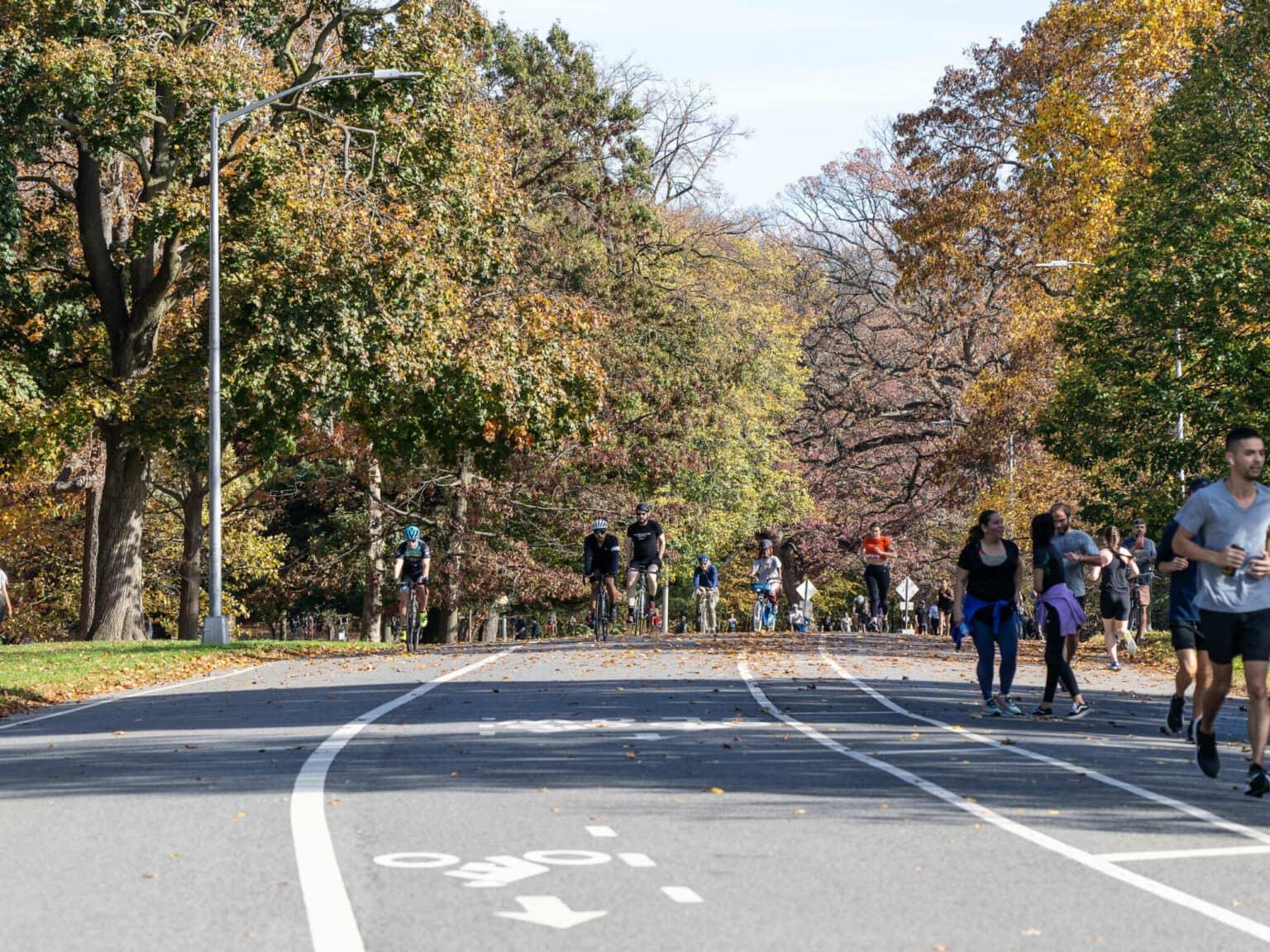 Joggers and cyclists moving along the paved path through Prospect Park in Park Slope, Brooklyn.