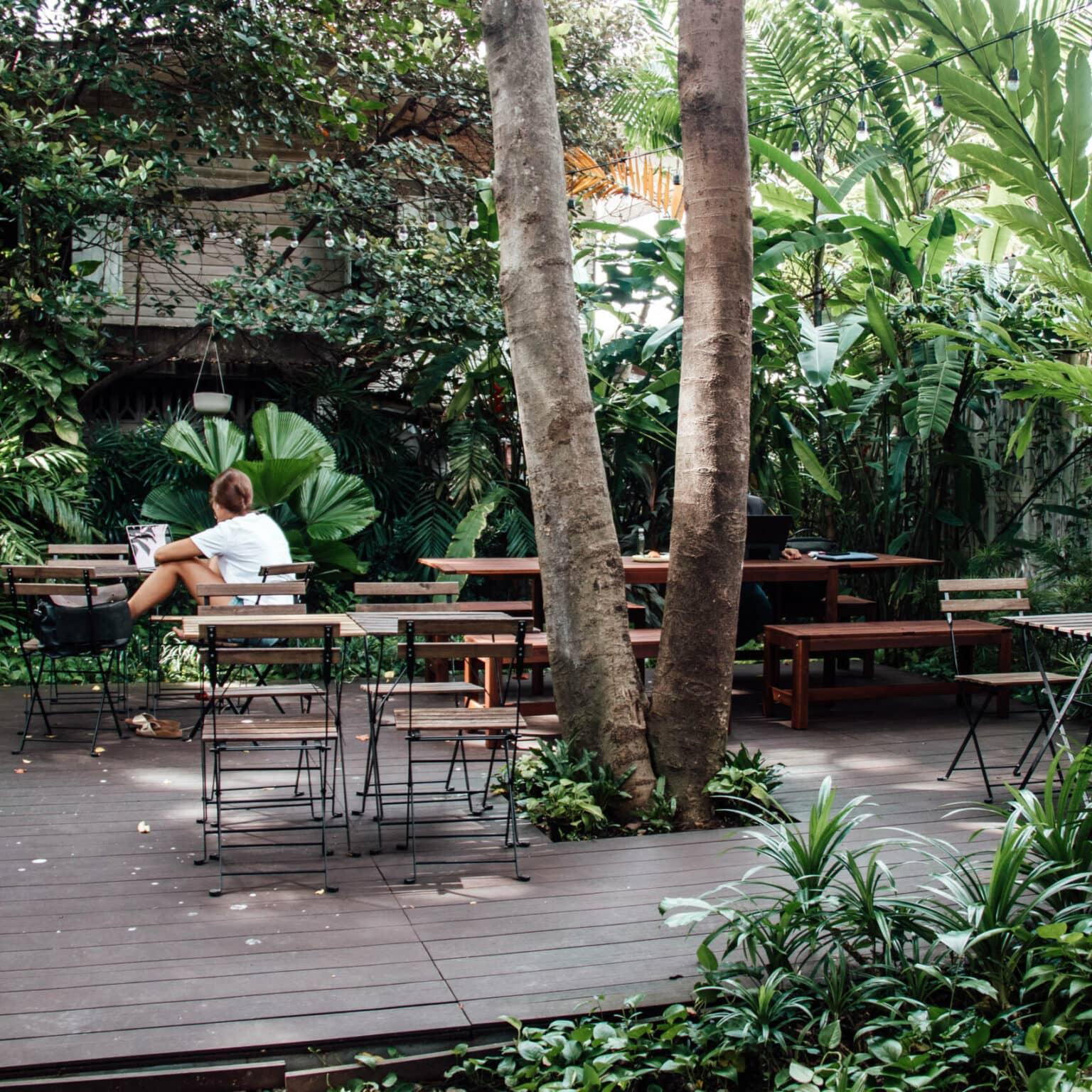 A person is sitting at the Yellow Lane Café surrounded by wooden tables and chairs on a small terrace amidst green plants.