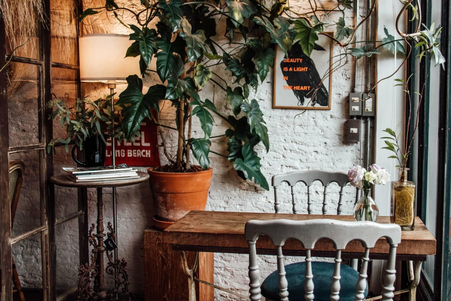 A small wooden table in the Floral Café with white chairs and a plant in the background.