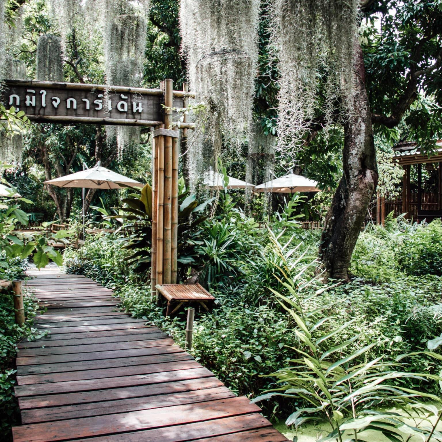 A wooden walkway winds through jungle-like plants in the Poomjai Garden.