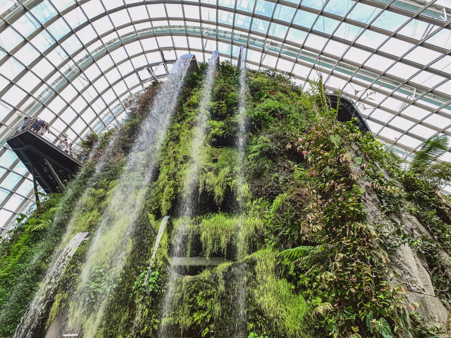 Una cascada vista desde abajo en una roca cubierta de plantas verdes en los "Gardens by the Bay" en Singapur.