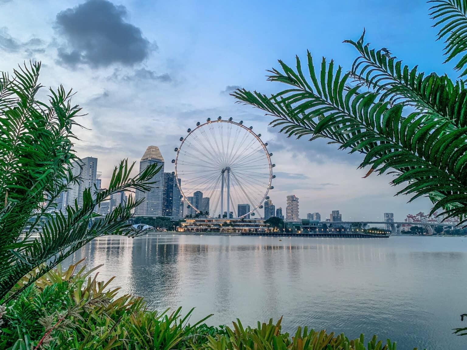 Hojas de palmera en el primer plano de la tercera noria más alta del mundo, "Singapore Flyer".