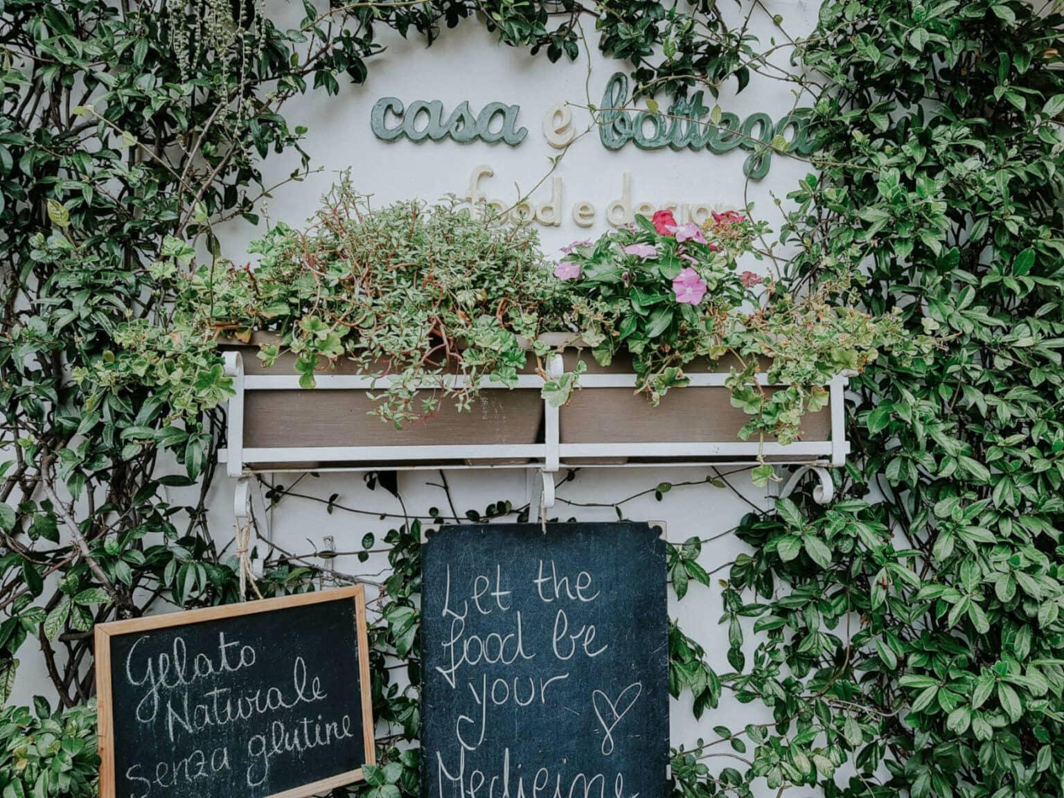 Signs surrounded by plants.