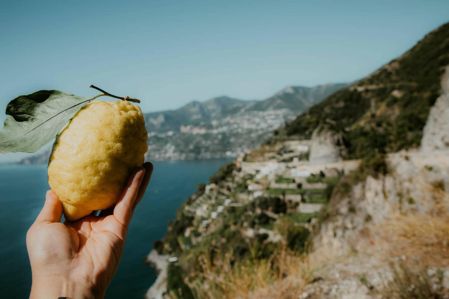 A lemon being held in hand.