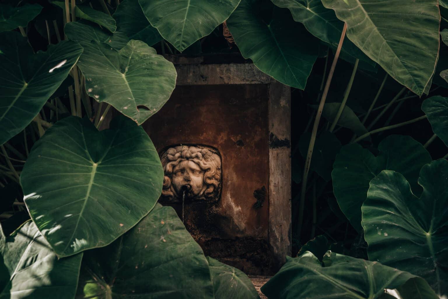A fountain surrounded by leaves.