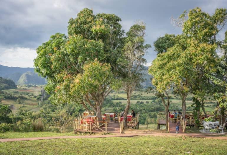 En medio del paisaje verde de Viñales en Cuba, hay una plataforma de observación entre dos grandes árboles que ofrece una vista de la naturaleza intacta.
