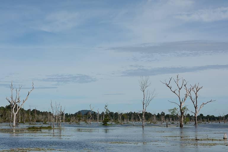 The temple Neak Pean in Angkor is built on an island and hosts trees that grow in the water.