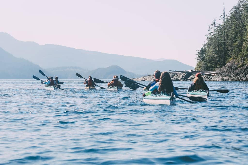 Whale Watching Vancouver Island: Several kayaks are lined up on the water.