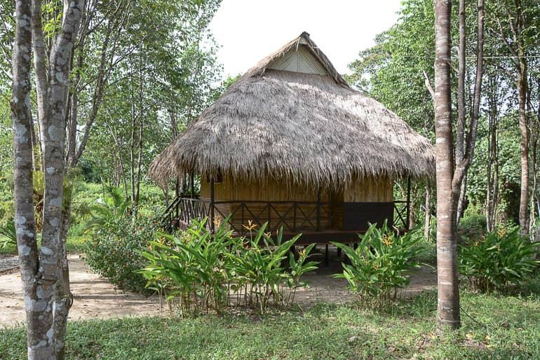Travellers Insight Travel Blog Travel Tips Cambodia Cardamom Mountains Chi Path Sun Bear Bungalows