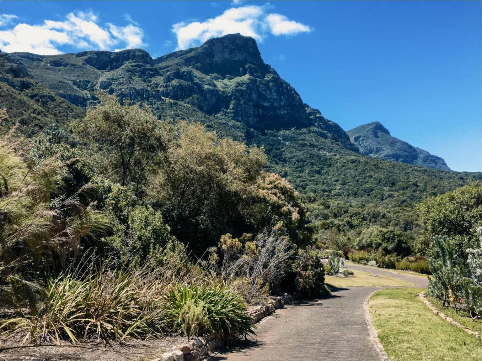 Un lugar que todos los visitantes de Ciudad del Cabo deben conocer: el Jardín Botánico Nacional de Kirstenbosch.