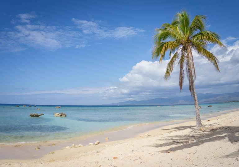 Una sola palmera se mece suavemente en el viento en una playa desierta frente al mar azul claro de Cuba.