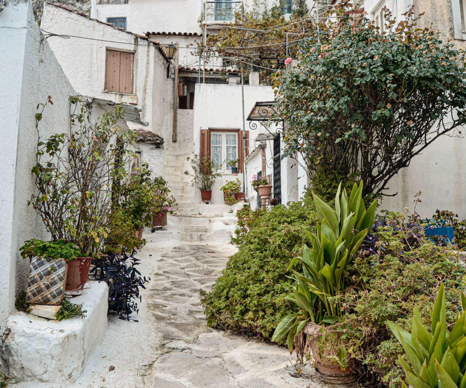 Narrow, steep alley of typical whitewashed houses with greenery in Athens' Cycladic village Anafiotika.