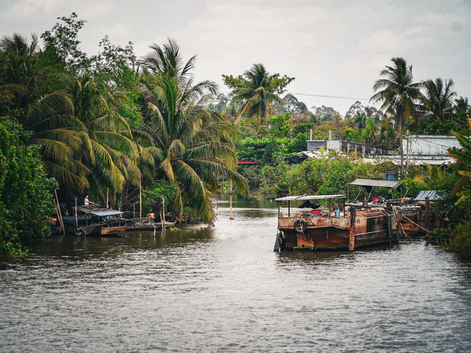 Several old rusty ships on a river surrounded by green palms.