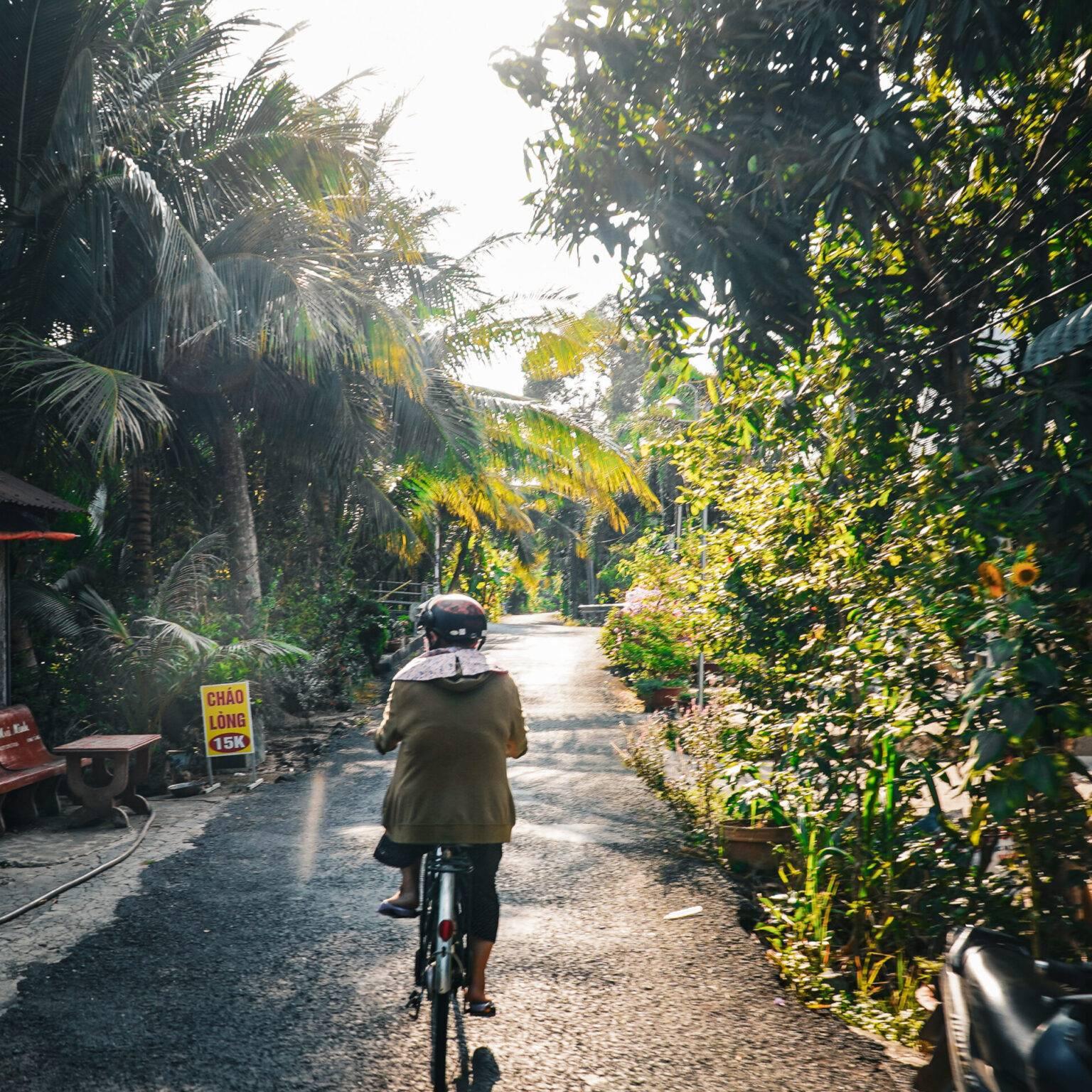 A person rides a bicycle between palm trees and green plants on a narrow paved path.