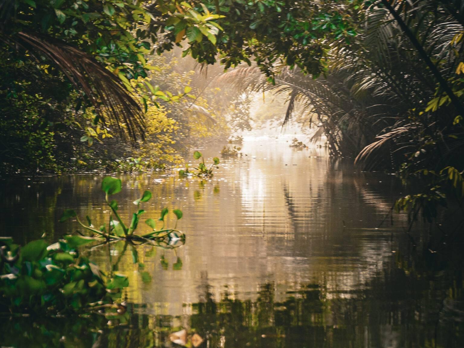 Green landscape and a small river in Lung Ngoc Hoang Reserve.