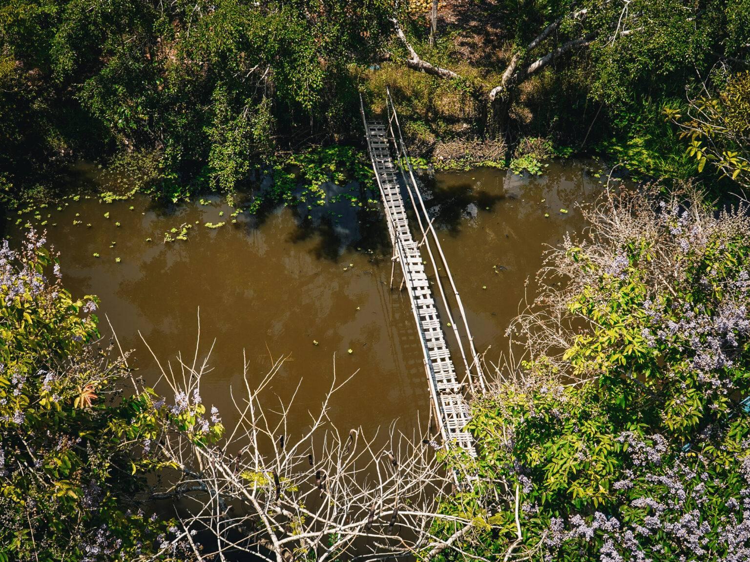 A river surrounded by green plants with a narrow wooden bridge running over it from a bird's eye view.