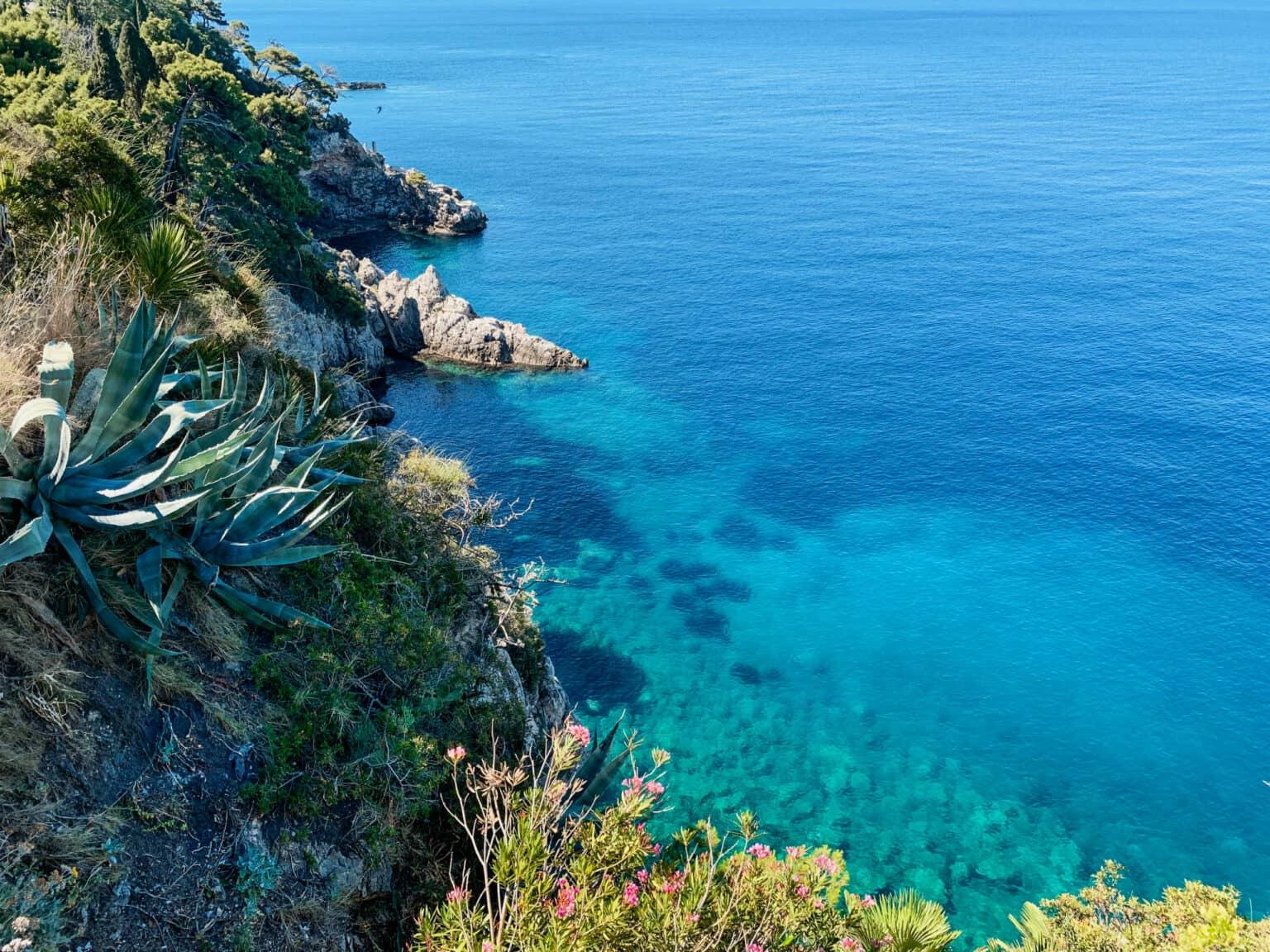The cliffs of the Adriatic offer impressive views of the lush vegetation, including a large agave plant and the crystal-clear water below.