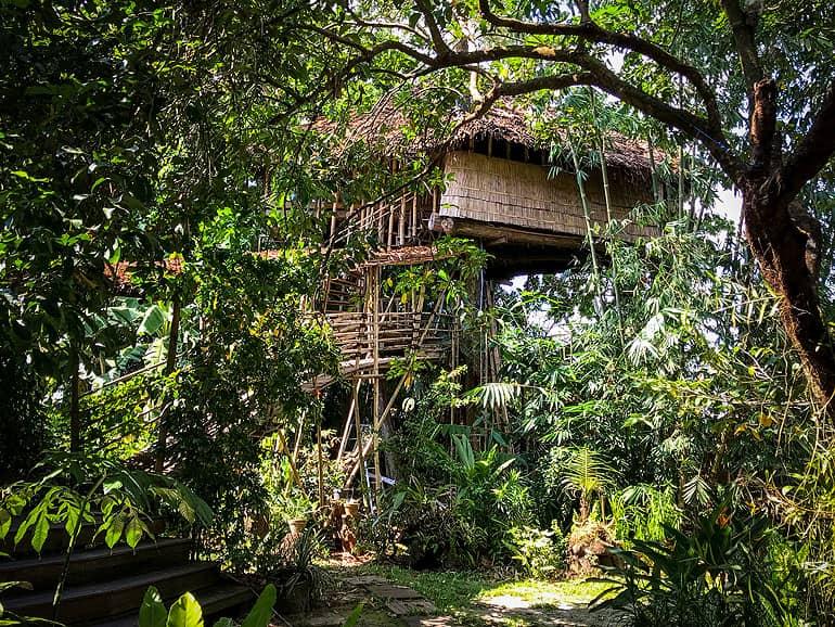 El Bukit Raya Guesthouse en Borneo, en Palangka Raya, es una casa en un árbol de madera y bambú, situada en medio de árboles y plantas.
