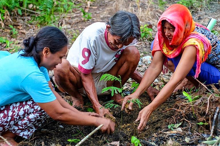 Tres agricultores locales en Kalimantan, Borneo, plantan un árbol para el proyecto 1 Million Trees.